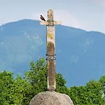 Kaufmann